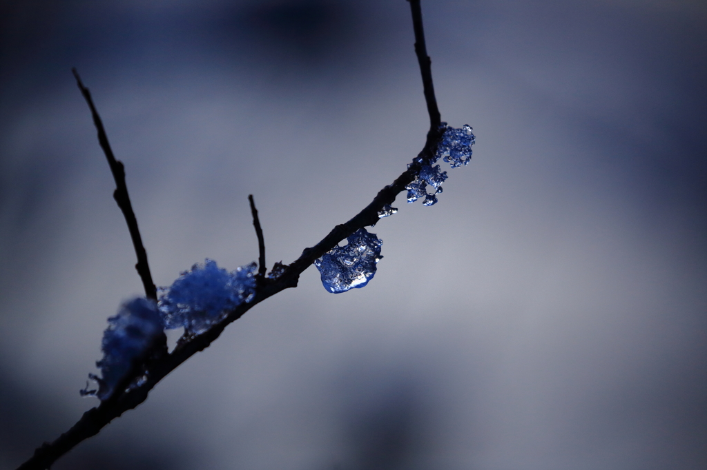 氷情