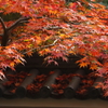 積