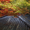 平等院2