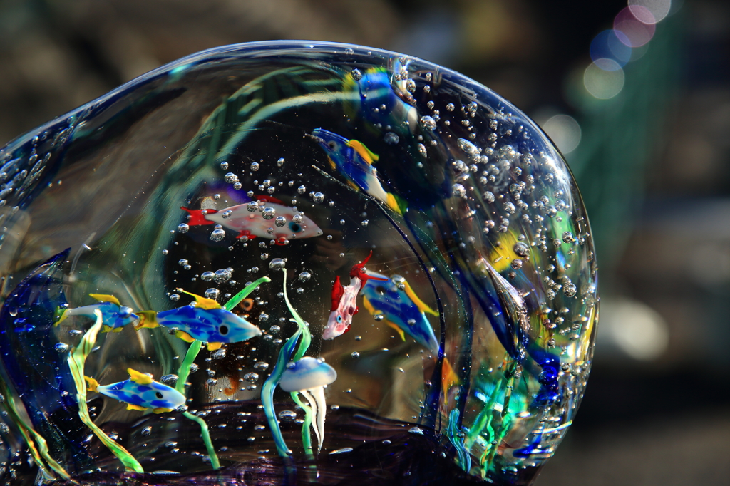 ガラスの金魚鉢