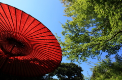 初秋の空