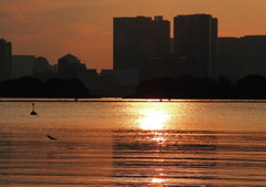 一日終わった！