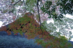 空の赤