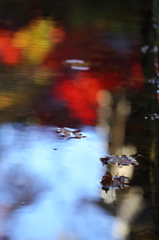 水模様4