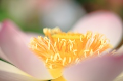 精一杯生きる色