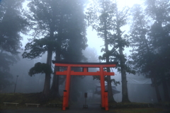 気