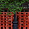 願いの棚