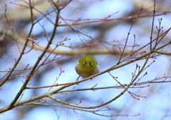 だから何?