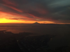 今日のご褒美風景