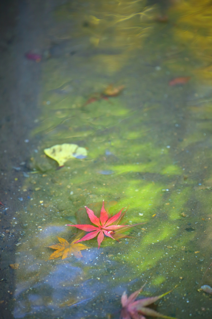 水模様