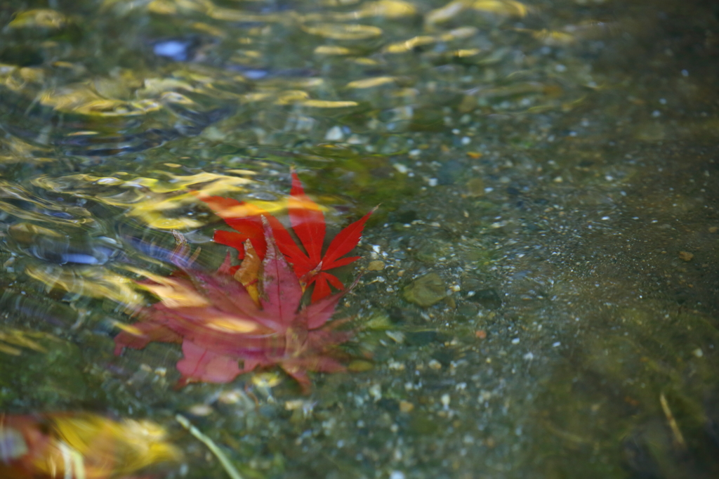 水模様3