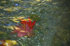 水模様3