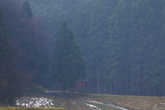 山神の棲み処