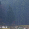 山神の棲み処