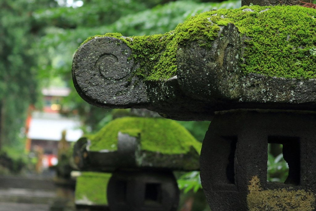 雨の参道