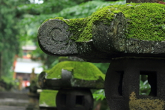 雨の参道