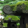 雨の参道