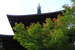 赤の季節に向かって