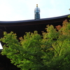 赤の季節に向かって