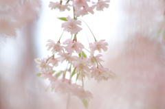 花飾り