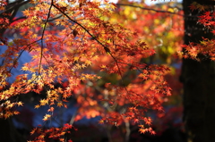 平林寺1