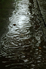 雨雫