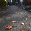 路