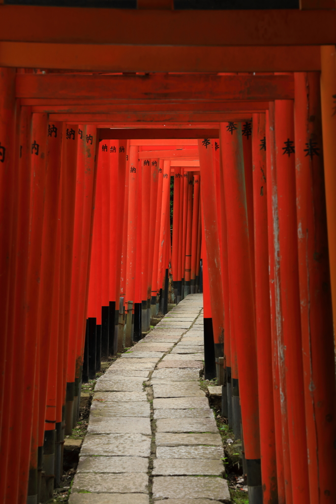 願いの路