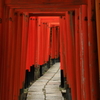 願いの路