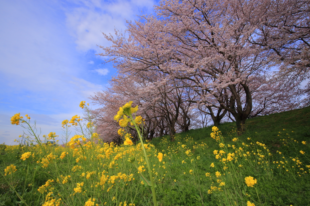 暖かい一日