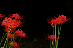 花道