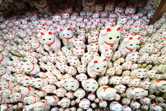 招き猫いっぱい！