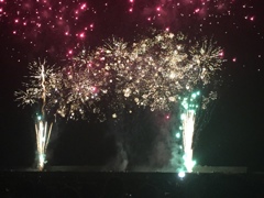 夏夜の夢1