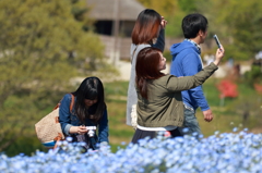 美しい思い出に