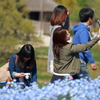 美しい思い出に