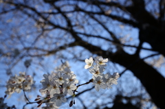 春の暖かい一日