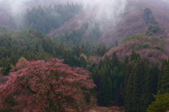 静かな山春
