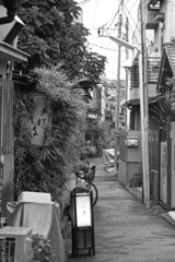 谷中の小路