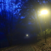 夜明けの道