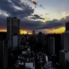 今日の夕方