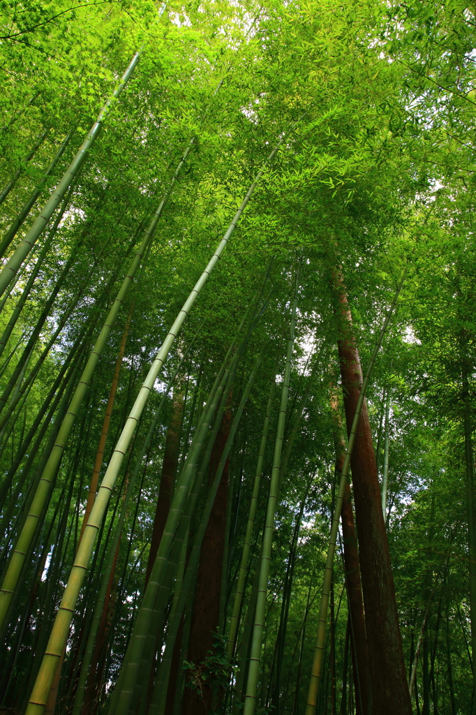 天を支える