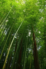天を支える
