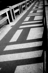 shadow
