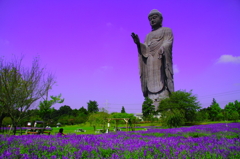 神の御告げ