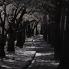 松本_城山公園