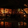 臥竜公園