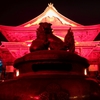 2011_善光寺_灯明祭り