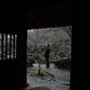 浜松城_庭園