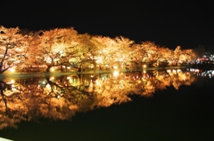臥竜公園