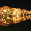 臥竜公園